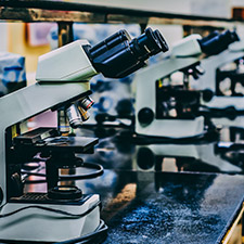 Research Platforms